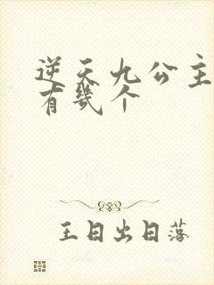 逆天九公主男主有几个