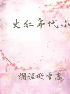 火红年代小说