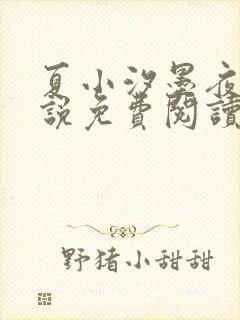 夏小汐墨夜霆小说免费阅读