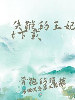 失踪的王妃txt下载