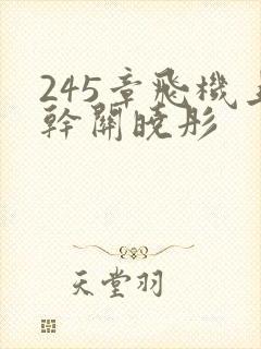 245章飞机上干关晓彤