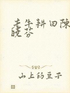 老牛耕田陈雪杨晓芬