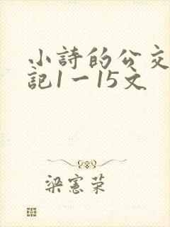 小诗的公交车日记1一15文