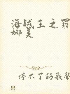 海贼王之罗宾h娜美