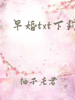 早婚txt下载