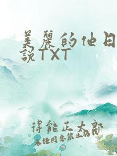 美丽的他日剧小说TXT