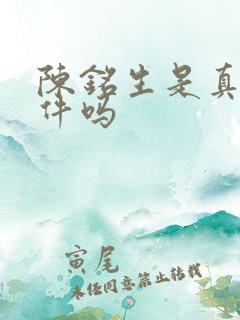 陈铭生是真实事件吗