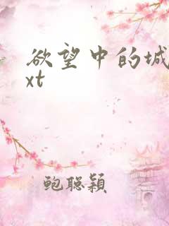 欲望中的城市txt