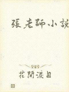 张老师小说