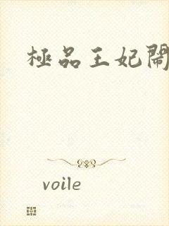 极品王妃闹王府