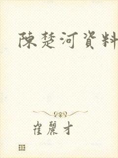 陈楚河资料