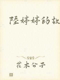 陆婷婷的故事