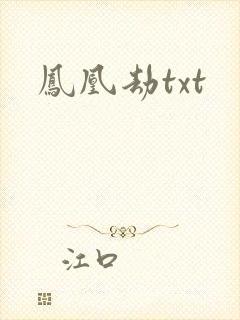 凤凰劫txt