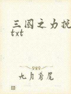 三国之力挽狂澜txt
