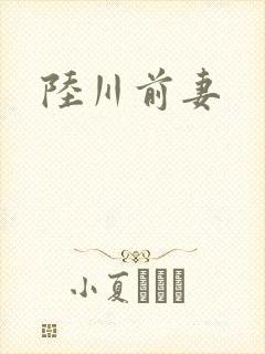 陆川前妻