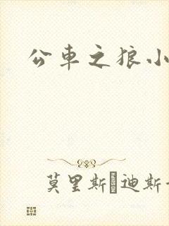 公车之狼小说