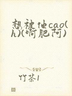 想被他cao(h)(啊肥阿)