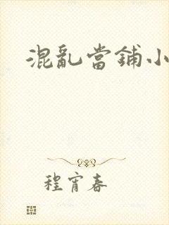 混乱当铺小说