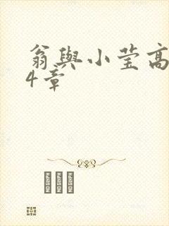 翁与小莹高潮24章