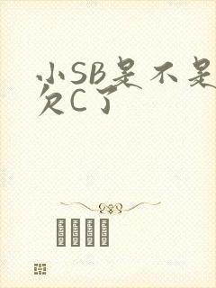 小SB是不是又欠C了