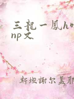 三龙一凤h啪肉np文