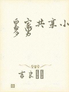 皇家共享小公主多男