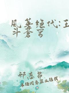 风华绝代:王妃斗苍穹