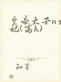 皇帝太子n太子妃(高h)