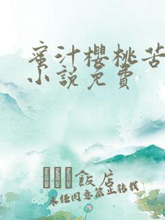 蜜汁樱桃苦咖啡小说免费