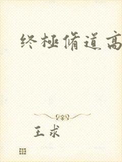 终极修道高手