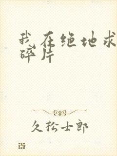 我在绝地求生捡碎片