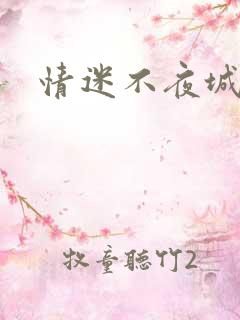 情迷不夜城