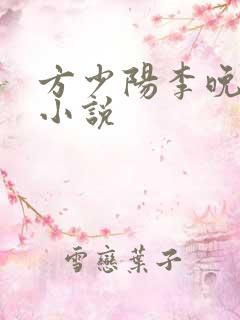 方少阳李晚晴的小说