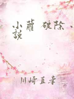 小萝 破除 小说