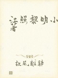 江照黎明小说原著