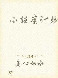 小说蜜汁炒鱿鱼