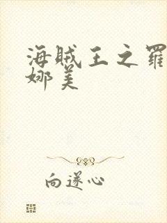 海贼王之罗宾h娜美