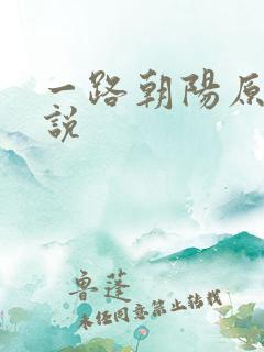 一路朝阳原著小说