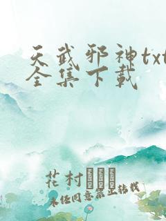 天武邪神txt全集下载
