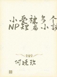 小受被多个攻强NP短篇小说