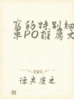 写的特别细的开车PO推荐文多人