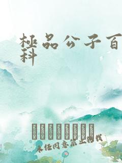 极品公子百度百科