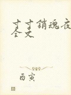 寸寸销魂夜春光全文