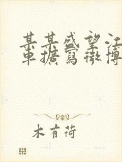 某某盛望江添肉车扩写微博