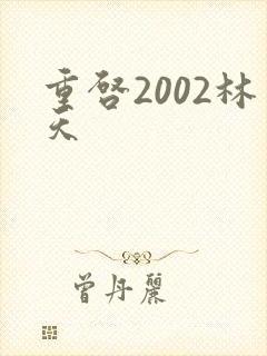 重启2002林天