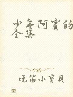 少年阿宾的故事全集