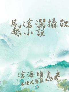 风沧澜摄政王穿越小说