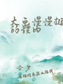 大龟慢慢挺进我的体内