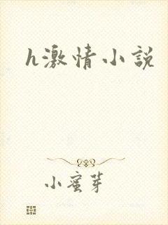 h激情小说