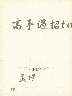 高手过招txt